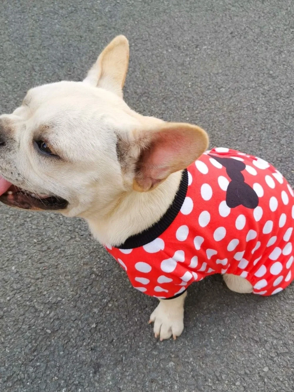 CuteBone Red Polka Dot Dog Pajamas Small Puppy Onesie NWOT